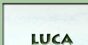 Luca Dalle Vacche, albergatore, Hotel Giappone di Livorno